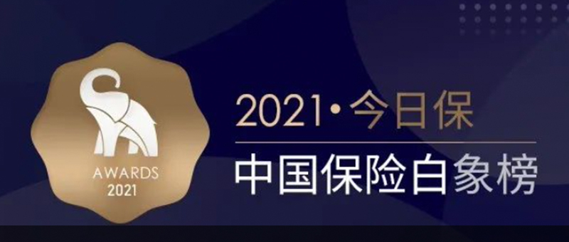 首届“今日保·中国保险白象榜”揭榜，华农保险荣获“年度车辆保险领军企业”奖项